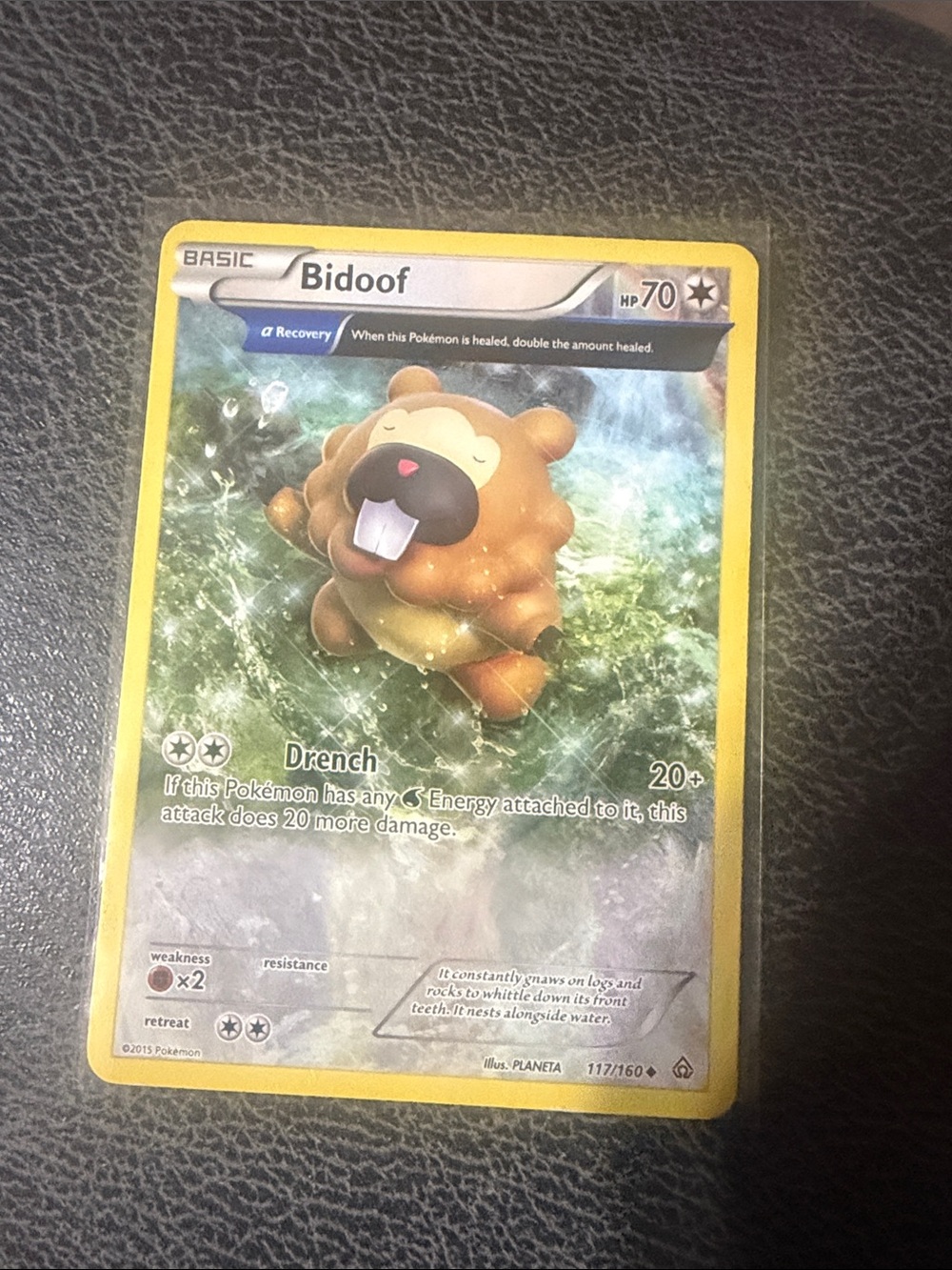 Bidoof Trading Card - Yellow Border